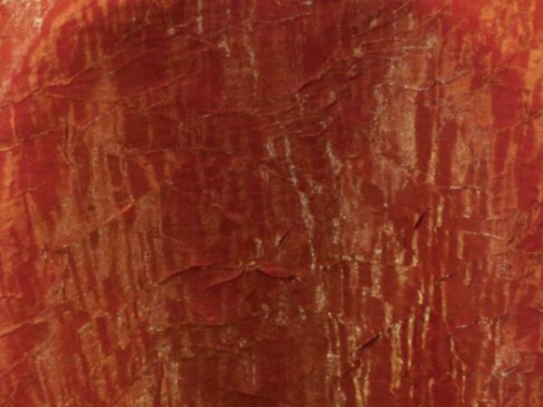 120" ROUND IRIDESCENT CRUSH ORANGE
