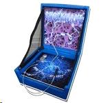 Game Portable Shockwave